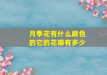 月季花有什么颜色的它的花瓣有多少