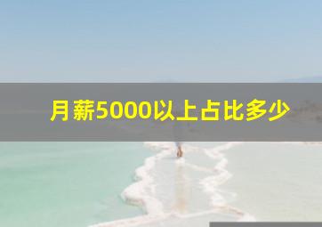 月薪5000以上占比多少