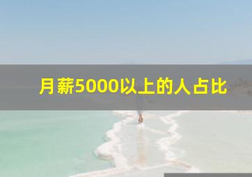 月薪5000以上的人占比