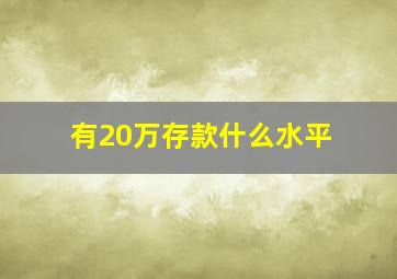 有20万存款什么水平