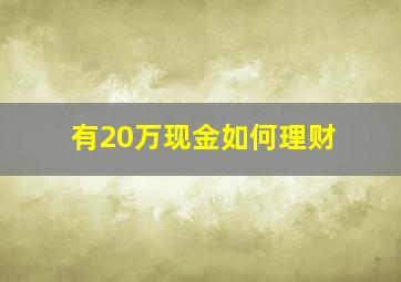 有20万现金如何理财