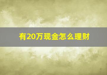 有20万现金怎么理财