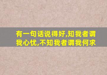 有一句话说得好,知我者谓我心忧,不知我者谓我何求