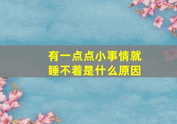 有一点点小事情就睡不着是什么原因