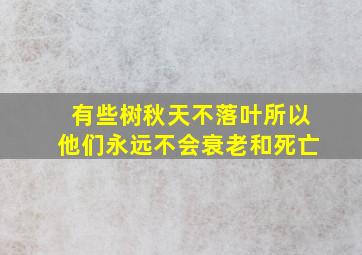 有些树秋天不落叶所以他们永远不会衰老和死亡