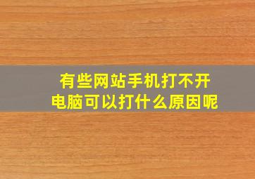 有些网站手机打不开电脑可以打什么原因呢