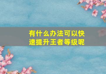 有什么办法可以快速提升王者等级呢