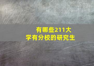 有哪些211大学有分校的研究生