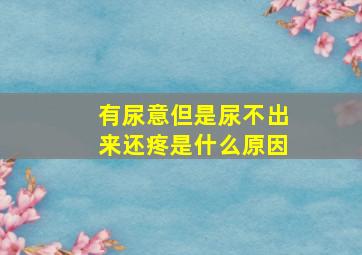 有尿意但是尿不出来还疼是什么原因