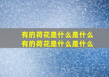 有的荷花是什么是什么有的荷花是什么是什么