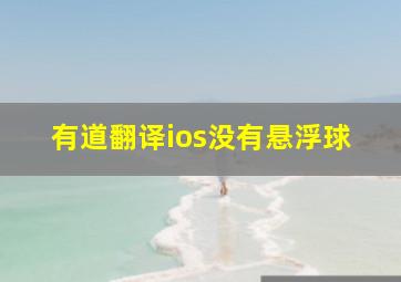 有道翻译ios没有悬浮球