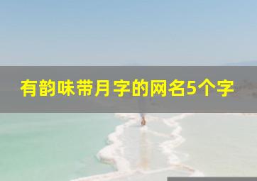 有韵味带月字的网名5个字