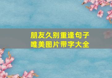 朋友久别重逢句子唯美图片带字大全