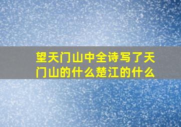 望天门山中全诗写了天门山的什么楚江的什么