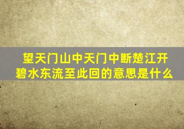 望天门山中天门中断楚江开碧水东流至此回的意思是什么