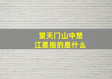 望天门山中楚江是指的是什么