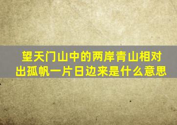 望天门山中的两岸青山相对出孤帆一片日边来是什么意思