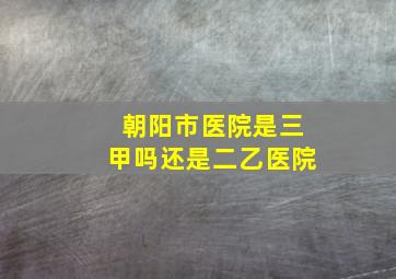 朝阳市医院是三甲吗还是二乙医院