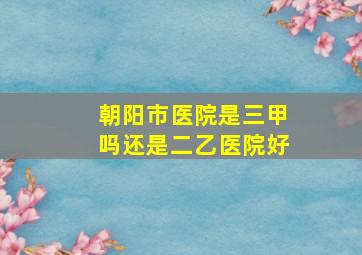 朝阳市医院是三甲吗还是二乙医院好