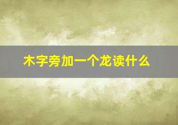 木字旁加一个龙读什么