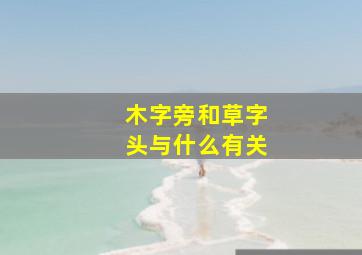 木字旁和草字头与什么有关