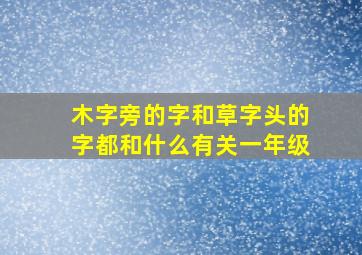 木字旁的字和草字头的字都和什么有关一年级