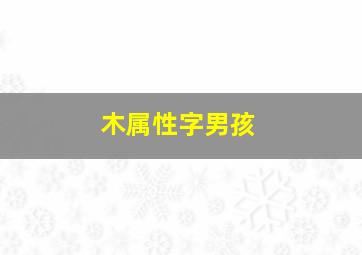 木属性字男孩