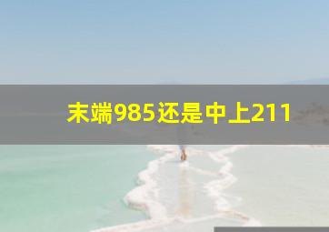 末端985还是中上211