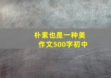 朴素也是一种美作文500字初中