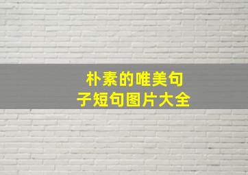 朴素的唯美句子短句图片大全