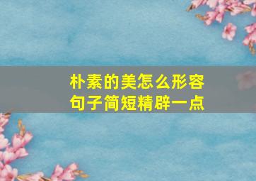 朴素的美怎么形容句子简短精辟一点