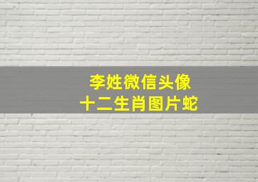 李姓微信头像十二生肖图片蛇