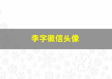 李字徽信头像