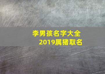 李男孩名字大全2019属猪取名