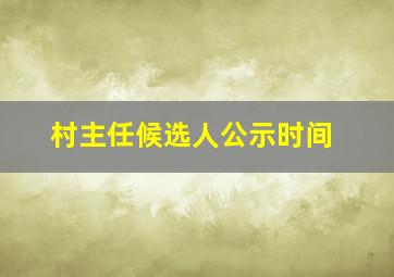 村主任候选人公示时间