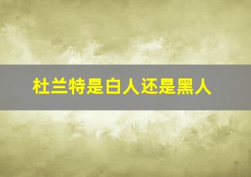 杜兰特是白人还是黑人