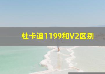 杜卡迪1199和V2区别