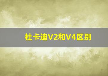 杜卡迪V2和V4区别