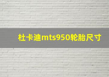 杜卡迪mts950轮胎尺寸