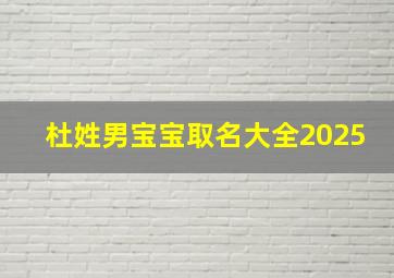 杜姓男宝宝取名大全2025