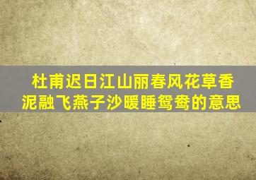 杜甫迟日江山丽春风花草香泥融飞燕子沙暖睡鸳鸯的意思