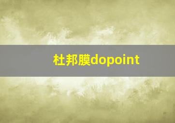 杜邦膜dopoint