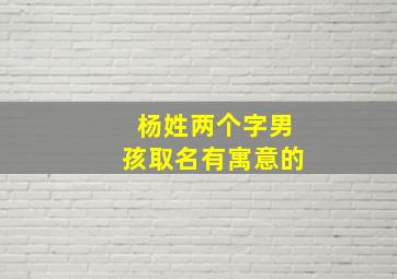 杨姓两个字男孩取名有寓意的