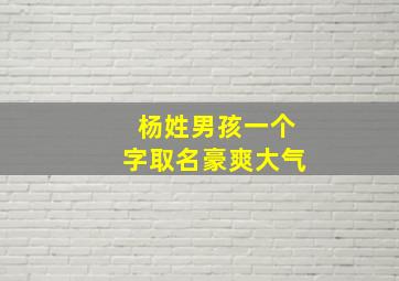 杨姓男孩一个字取名豪爽大气