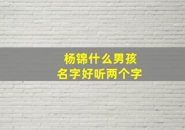 杨锦什么男孩名字好听两个字