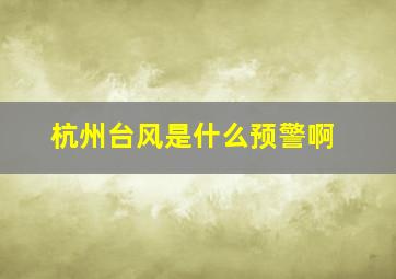 杭州台风是什么预警啊