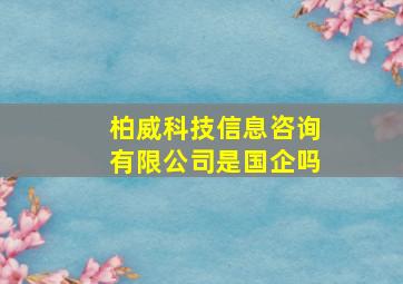 柏威科技信息咨询有限公司是国企吗