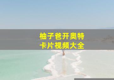 柚子爸开奥特卡片视频大全