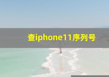 查iphone11序列号