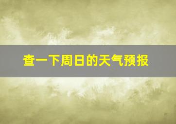 查一下周日的天气预报